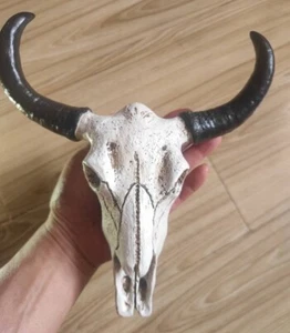 9" Resin Faux Cow Skull Horn Head Mount Steer Wall Hanging Tibetan Feng Shui - Bild 1 von 9