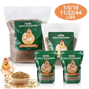 Wholesale Bulk Dried Mealworms for Wild Birds Food Blue Bird Chickens Hen Treats - Picture 1 of 16
