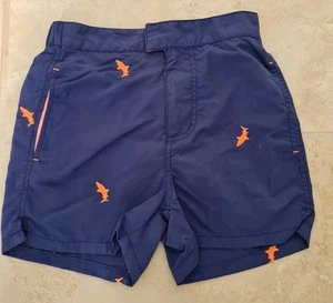 Mini Boden NIÑOS BOARD Pantalones Cortos de Natación EDAD 6-7 AÑOS NUEVO G7 - Imagen 1 de 4