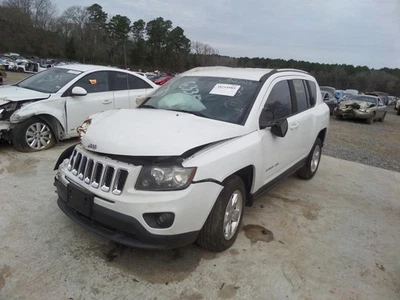 Manija de puerta trasera vertical estilo clásico Driver Strut para Jeep Compass 07-17 Foto 1 de 4