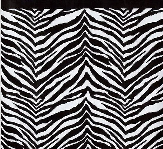 Wild Safari Zebra Print Black White Bathroom Bath Shower Curtain - Image 1 of 1