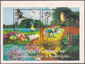 India 2010 International Year of Biodiversity Birds Animals Owl Miniature sheet - Picture 1 of 2