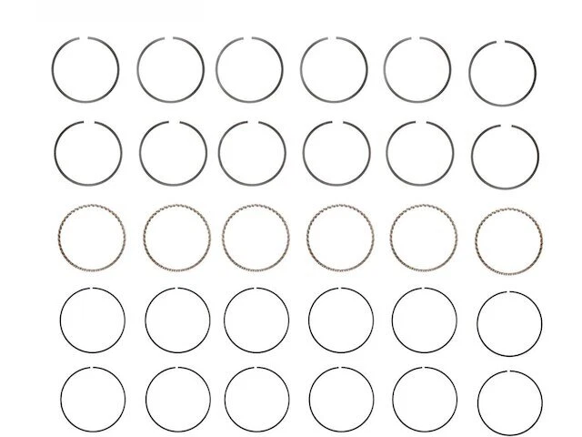 Anillo de pistón Hastings 12251MZKD 1971 5,7 L V8 anillo de pistón del motor para Jeep J3800 Foto 1 de 2