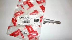 Aprilia 50 Rs. Axle Screws Of Fixing Crutch Reference: AP8152310. New Origin - Picture 1 of 5