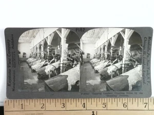 Pelle conciaria Stereoview Guelph o Waterloo Ontario 1900s Canada Industrial - Foto 1 di 2