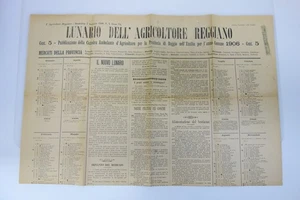 Il Lunario dell'Agricoltore Reggiano 1906 grande manifesto notizie calendario - Foto 1 di 1