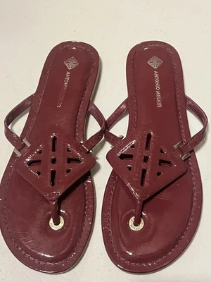Sandalias Antonio Melani Estilo Tanga Talla 8  Foto 1 de 3