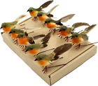 Yolococa 10PCS Robin Bird Christmas Tree Decoration Craft Very Cute Artificial