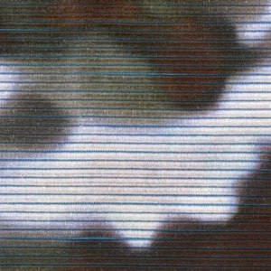 Knoll Floressence Blackbird Upholstery Fabric Free Shipping! BTY SF4119 - Picture 1 of 2