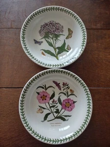 2 zuppiere con bordo Portmeirion --- Orto Botanico - Foto 1 di 4