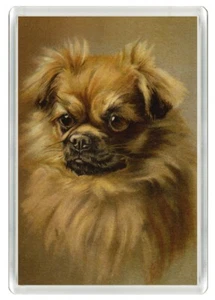 TIBETAN SPANIEL DOG HEAD STUDY ART PRINT NOVELTY ACRYLIC FRIDGE MAGNET GIFT - Picture 1 of 1