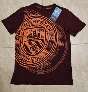 Official Manchester T-shirt (MCFC FW TEEN 3D CREST T-SHIRT) - Picture 1 of 3