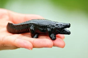 4'' Natural Obsidian crocodile reiki Crystal decor crystal healing gift 1pc - Picture 1 of 9