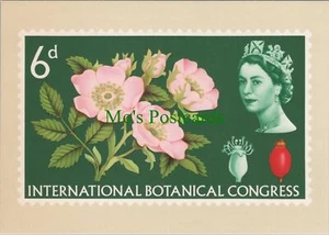 Postal Royal Mail - Sello 6d, Congreso Botánico Internacional Ref.RR14715 - Imagen 1 de 2
