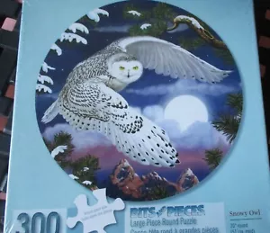 Rompecabezas de arte redondo Rosiland Solomon de 20" de gran formato de 300 piezas brocas "Snowy Owl" - Imagen 1 de 2
