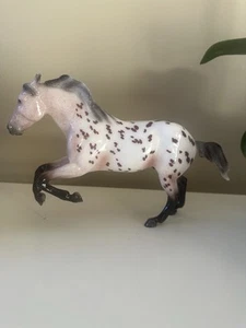 Breyer RAMBLER 2025 Brillante Appaloosa Club de Coleccionistas Exclusivo Elección de Jugadores - Imagen 1 de 6