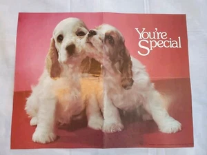 Vintage 70s Xerox Book Club Cute Cocker Spaniel Puppy Dog Poster Wall Art 19x15 - Picture 1 of 4