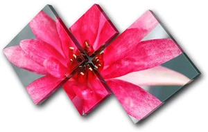 Floral Flowers BOTANICAL MULTI CANVAS WALL ART Picture Print VA - Picture 1 of 1