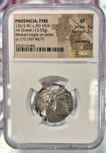 Phonicia Tyre NGC XF - Picture 1 of 2