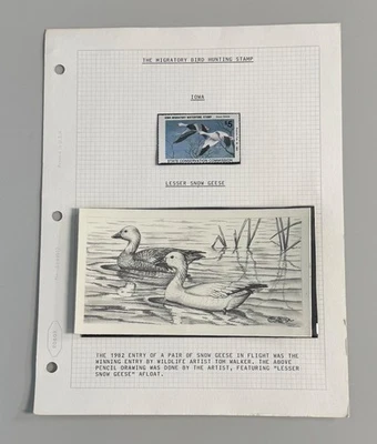 1982 Iowa Migratory Waterfowl Hunting Stamp and Pencil Drawing by Tom Walker - Image 1 of 4