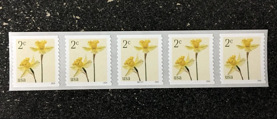 2024USA #5903 2c Daffodils - Plate Number Coil Strip of 5 - PNC Mint flowers - Image 1 of 2
