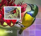 SUNBIRDS 1-Value MNH Birds/Bird Stamp Sheet #648 (2019 Sierra Leone)