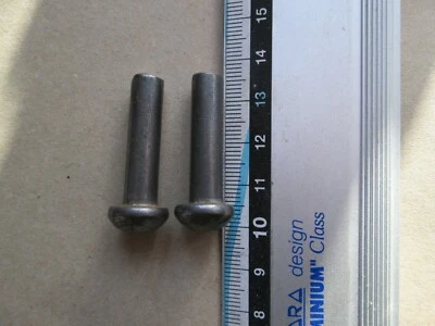 Perni cerniera x 2 per montare stufe multicombustibile a legna SUNRAIN serie JA