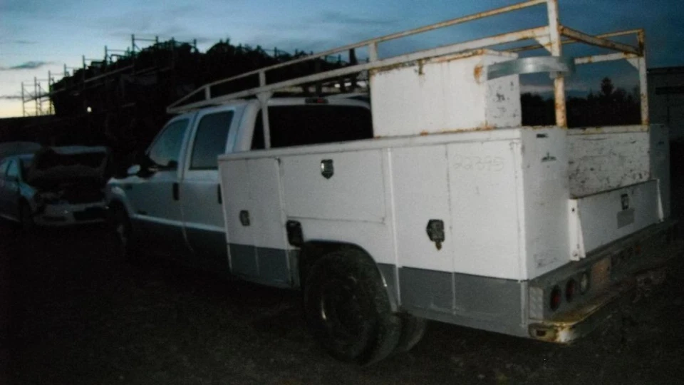 Fuel Pump Only Diesel Supply Pump Fits 98-03 FORD E350 VAN 1596813 Foto 1 de 4