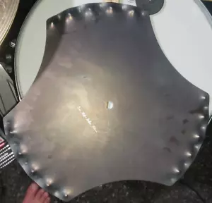 Hammerax Chick Magnet 14" Cymbal - Picture 1 of 2