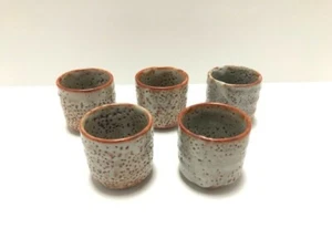 Japanese Sake Cup Sakazuki Guinomi Shino ware 5pcs set From Japan - Picture 1 of 8