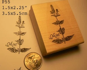 Mint herb rubber stamp WM P55 - Picture 1 of 2