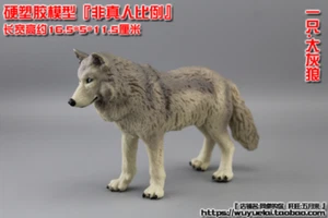 Grauer Wolf für 1/6th Scale 12" Actionfigur 1:6 Tiermodell 16,5*5*11,5cm - Bild 1 von 2