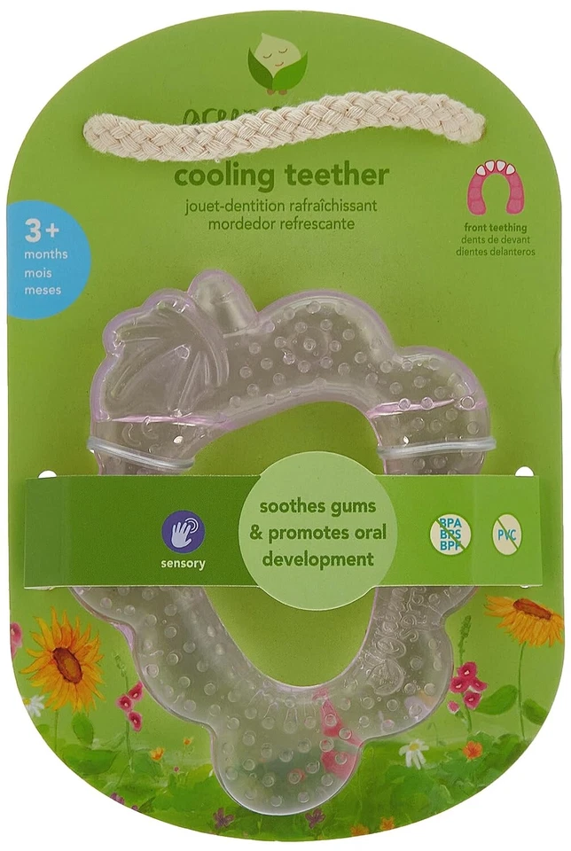 Mordedor de frutas frescas GREEN SPROUTS - uva rosa pálida (1 unidad) Foto 1 de 1