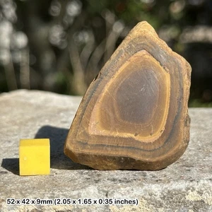 Iron Stone Slice - Genuine Natural Mineral Specimen with Certificate of - Picture 1 of 1