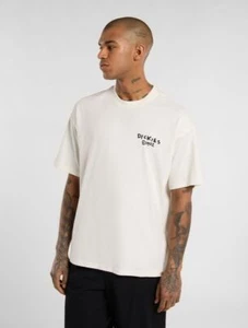 Camiseta Dickies Sneedville (blanca) - Imagen 1 de 5