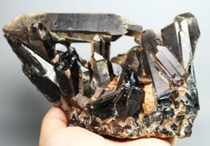 3,06 lb Natural Raro Hermoso Racimo de Cristal de CUARZO Negro Espécimen Mineral - Imagen 1 de 11
