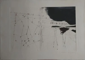 Martini Sandro "Duale" 1976 Radierung/Aquatinta. Kopie: XIV/XXXIII. Grafik Uno - Bild 1 von 1