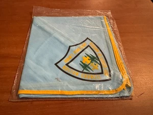 BSA, 1970’s Adams Pond Camp Neckerchief, Boston Council, Blue/Yellow - Picture 1 of 1