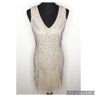 Boston Proper Bronceado Desnudo Plata Cuentas Lentejuelas Vestido Vaina Talla 8 Cóctel Formal Foto 1 de 4