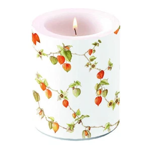 Kerze, Lampionkerze LAMPION 12cm Ambiente | Herbst, Physalis, Lampionblume - Bild 1 von 1