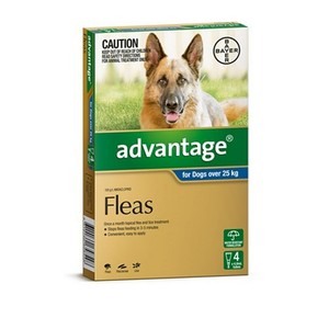 preventic tick flea advantage