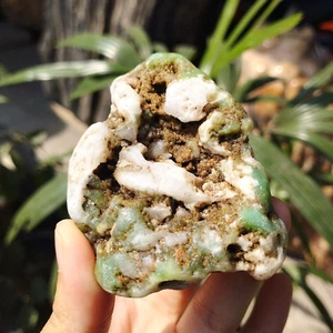 109Gr Natural Rough Green CHRYSOPRASE Mineral Specimen Rough - Picture 1 of 10