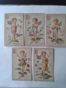 komplette Liebig Serie 51 "LÒracolo dei Fiori 1 ", 1873-78 - Picture 1 of 2