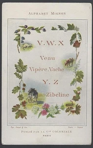Compagnie Coloniale Chocolate Alphabet Letters V W X Y Z Victorian Trade Card - Picture 1 of 2