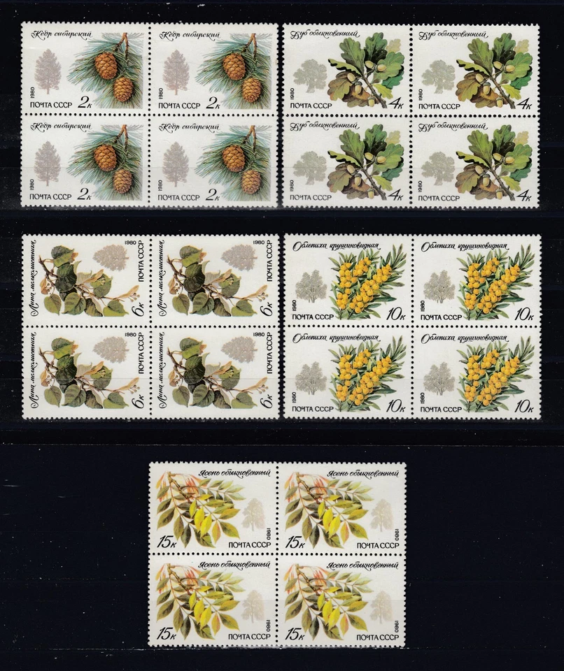 RUSSIA  1980  SC # 4871 - 75  BLOCK  OF  4 . TREE  SPECIES . MNH OG . CV$8.00 . - Image 1 of 1