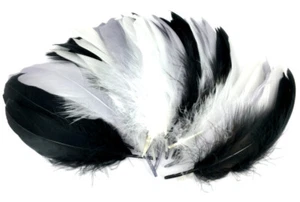 Plumes d'oie naturel 14/17 cm 20g - Imagen 1 de 2