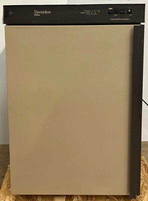 INCUBADORA BARNSTEAD THERMOLYNE SYBRON I42045 TIPO 42000 70C MAX 120V 1PH Foto 1 de 4
