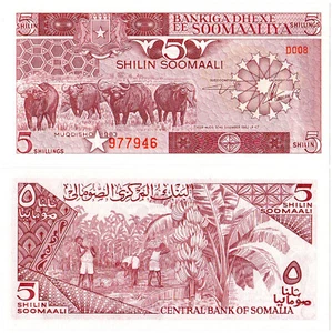 Somalia 5 Shilin Soomaali P#31a (1983) Bankiga Dhexe ee Soomaaliya UNC - Picture 1 of 1