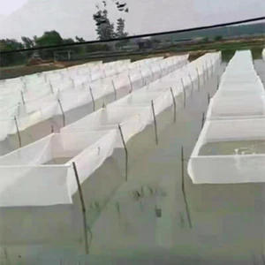 Fish Box Cage White Net Trap Non-toxic Breeding Nest Fishing Monofilament Nets - Picture 1 of 6