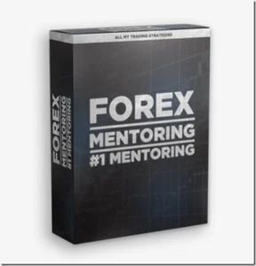French Trader – Forex Mentoring Course - Picture 1 of 1